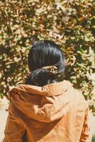 l'automne femme. tomber saison concept. femme en train de regarder l'automne arbre feuilles chute. vue de derrière photo