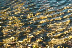 rivière surface texture, vagues brillant dans le Soleil. photo