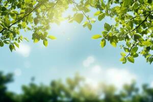 printemps Contexte avec vert feuilles. génératif ai. photo