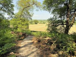 Cheshire dans le Royaume-Uni dans mai 2023. une vue de beeston Château sur une ensoleillé journée photo