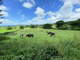 une vue sur la campagne du cheshire à peckforton hills photo