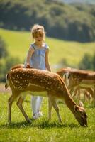 peu fille parmi renne troupeau sur le ensoleillé journée photo