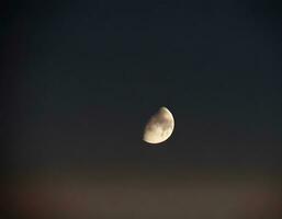 ai généré le lune à nuit. photo