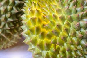 durian peau avec tranchant les épines. photo