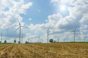 beaucoup vent turbine dans prairie. photo