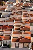 une grand groupe de Maisons avec rouge carrelé toits photo