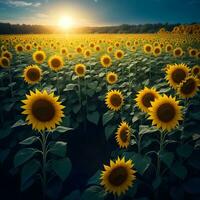 ai généré magnifique champ de épanouissement tournesols contre le coucher du soleil d'or lumière et floue montagnes paysage Contexte. tournesol agricole champ regards magnifique à le coucher du soleil. vibrant photo