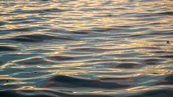 ondulations sur le l'eau surface de le mer, le coucher du soleil couleurs, Haut vue photo