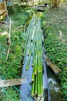 bambou poteaux sont étant utilisé à faire une pont photo