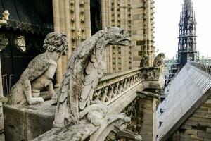 gargouilles sur le toit de une cathédrale photo