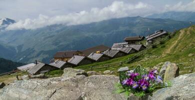 Saint Martin,Alpage de la vieille,valais,suisse photo