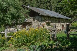 essai biologique haute savoie,france photo