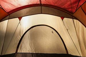 une lézard silhouette jeter sur le à l'intérieur de une lumière du jour allumé camping tente. photo