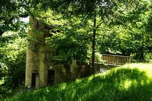 grandiose viopis, Drôme, France photo