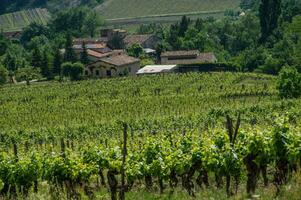 Barsac, dans Drôme, France photo