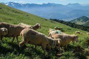 passer de oui, sain pierre de Chartreuse, Isère, France photo