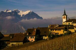 Yvorne, dans vaudois, suisse photo