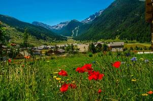 Ceillac queyras dans hautes Alpes dans France photo