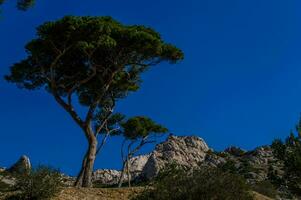 nationale parc calanques marseille dans bouche du rhone photo