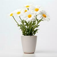 Marguerite fleur dans pot ai génératif photo