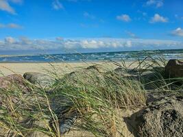 impressions de le interminable plage à le nord mer dans blavand Danemark photo