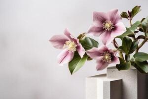 rose ellébore fleurs dans une vase sur une blanc Contexte. ai génératif photo