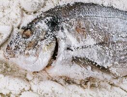 en train de préparer cuit au sel dorade poisson Haut vue photo