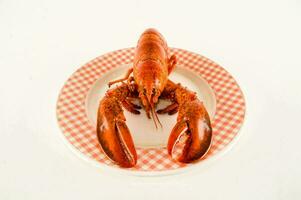 une Homard sur une assiette sur une blanc Contexte photo