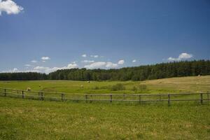 été paysage Pologne photo