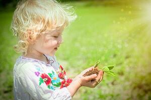 mains de ukrainien fille en portant une Sein de terre dans mains. ukrainiens perdu maisons et sol. germer de soja dans mains de enfant. fille détient germer dans mains. Terre journée. photo