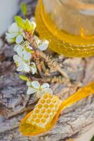 cassé Jaune nid d'abeille avec mon chéri sur tableau. mon chéri des produits. en bonne santé Naturel nourriture concept photo