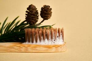 brosse à dents avec dentifrice mousse sur une Contexte de pin aiguilles et cônes. photo