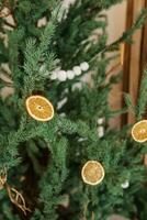 confortable intérieur décoré pour Noël dans scandinave style. vivre sapin des arbres décoré avec Naturel ornements fabriqué de séché des oranges photo