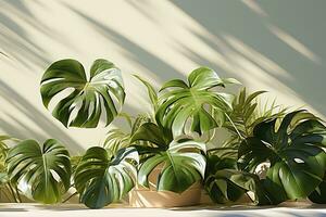 proche en haut de une monstera dans une blanc pièce ai généré photo