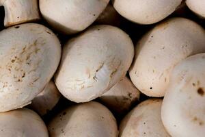 une proche en haut de une pile de blanc champignons photo