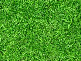 Contexte de vert herbe texture photo