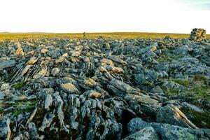 le paysage est couvert dans rochers et herbe photo