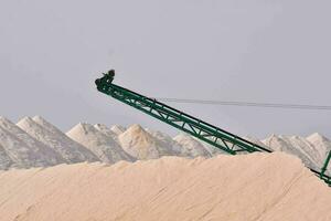 une grand grue est séance sur Haut de une pile de le sable photo