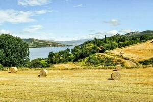 balles de foins dans une champ près le Lac photo