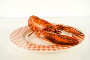 une Homard sur une assiette avec une à carreaux modèle photo