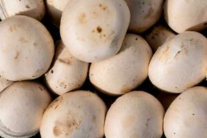 une pile de champignons photo