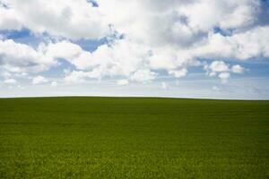 Pologne été paysage photo