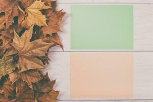 l'automne feuilles sur blanc en bois Contexte avec copie espace pour texte photo