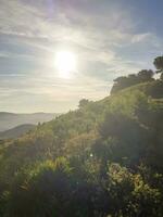 magique vue de le Soleil de la nature photo