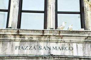 deux mouettes sur le fenêtre de une bâtiment dans Venise photo