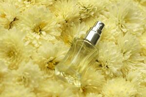 femmes fragrance parfum bouteille avec fleurs Contexte proche en haut. anonyme Vide pulvérisateur bouteille de parfum photo
