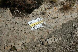 en marchant Piste Contexte. Jaune et blanc forêt chemin sur marron arbre tronc. guider signe fabriqué avec peindre sur randonnée piste. symbole points droite façon à aller photo