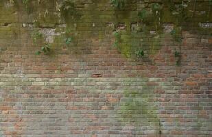 très vieux brique pierre mur de Château ou forteresse de 18e siècle. plein Cadre mur avec obsolète sale et fissuré briques photo