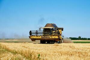 combiner moissonneuse récolte d'or mûr blé dans agricole champ photo