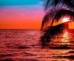 belle plage tropicale au coucher du soleil avec palmier et ciel rose pour les voyages et les vacances en vacances se détendre photo